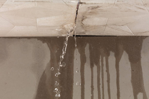 Professional Water Damage Inspection technician working in Richland, MI